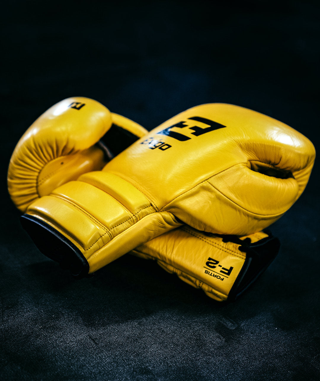 Exigo® F2 Fortis Leather Sparring Gloves - Lace