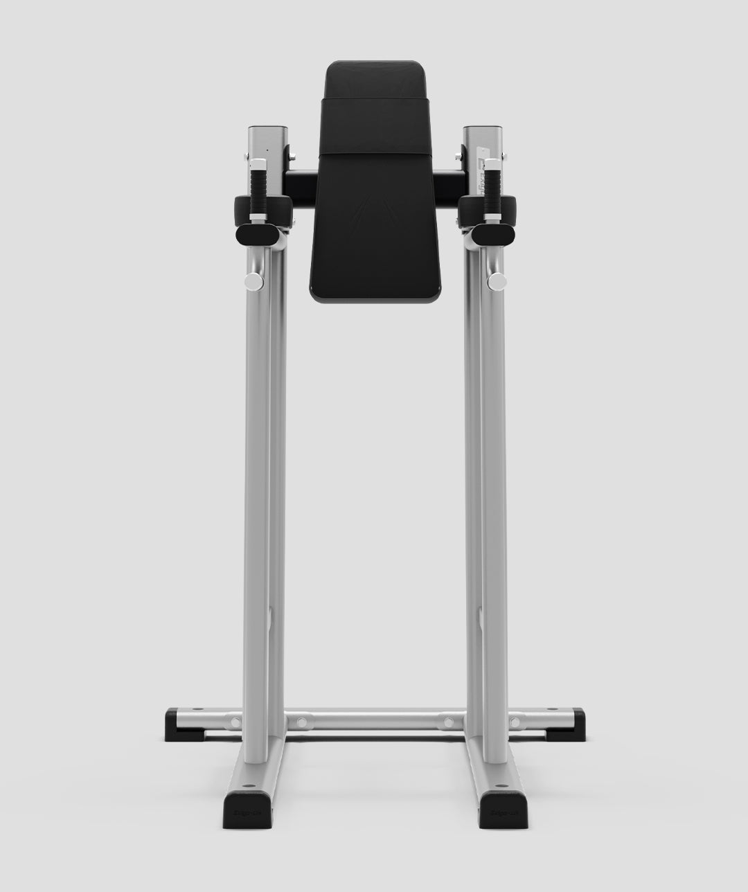 Exigo® Leg Raise / Dip Station